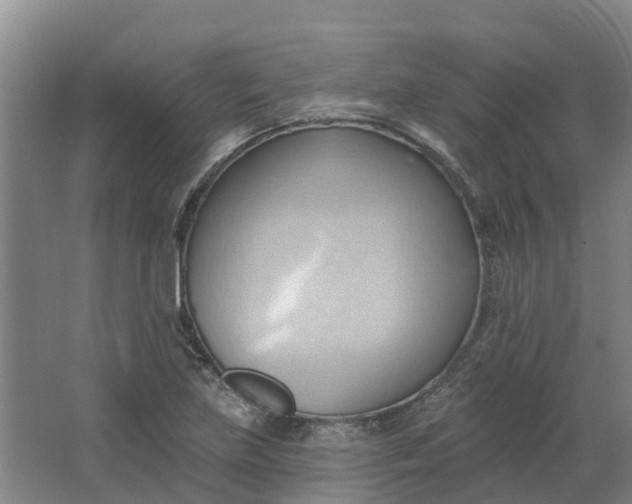 X0000062891219200601271639