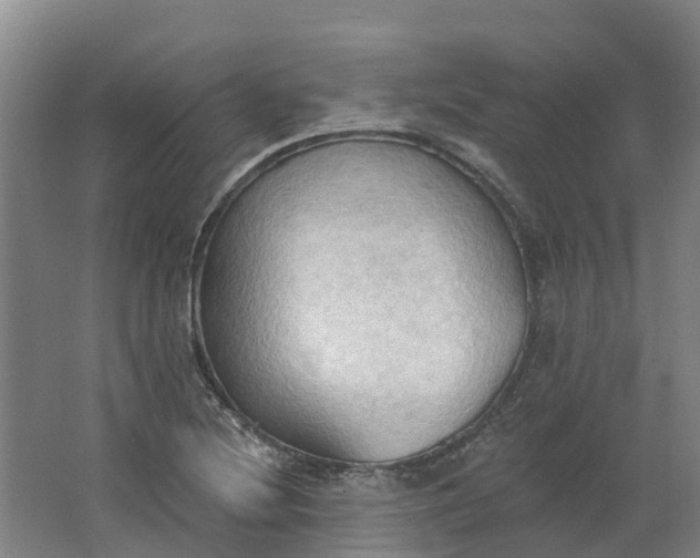 X0000062891220200601271639