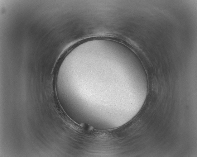 X0000062891222200601271639