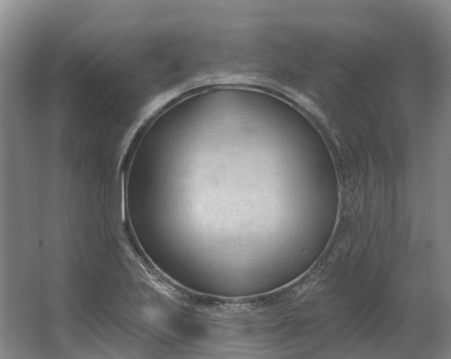 X0000062891223200601271639