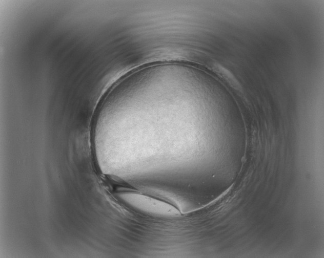 X0000062891226200601271639