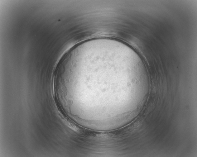 X0000062891227200601271639