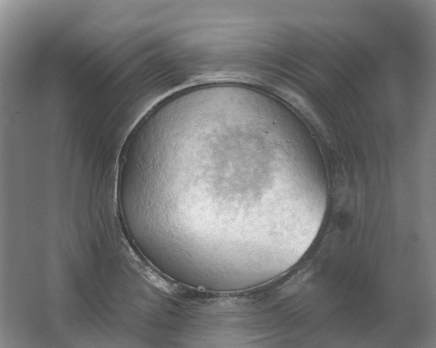 X0000062891228200601271639