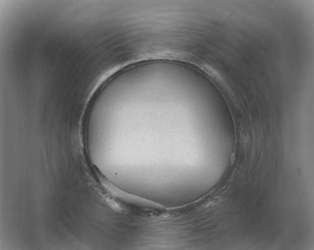 X0000062891230200601271639