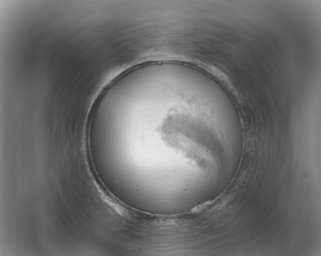 X0000062891231200601271639