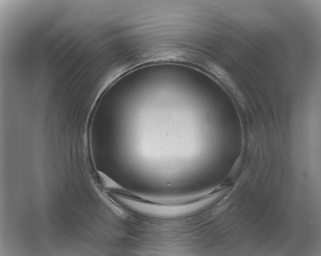 X0000062891234200601271639