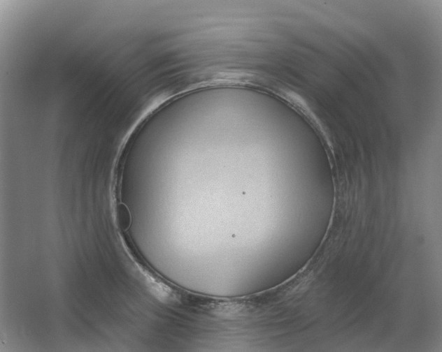 X0000062891235200601271639