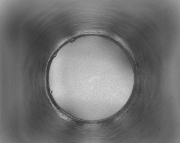 X0000062891237200601271639