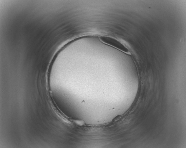 X0000062891238200601271639