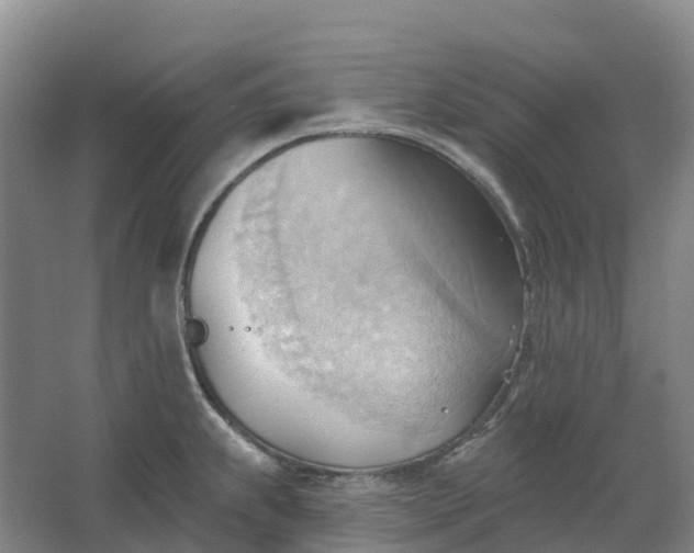 X0000062891239200601271639