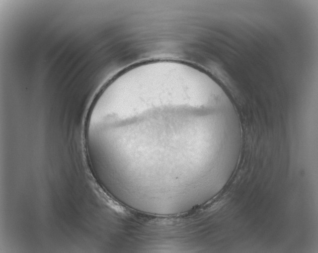 X0000062891240200601271639