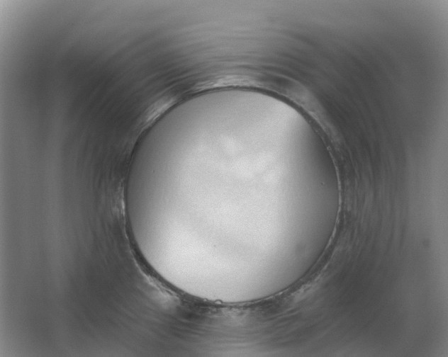 X0000062891241200601271639