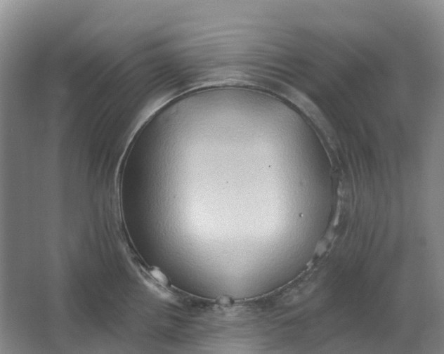 X0000062891242200601271639