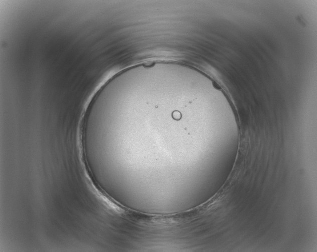 X0000062891243200601271639