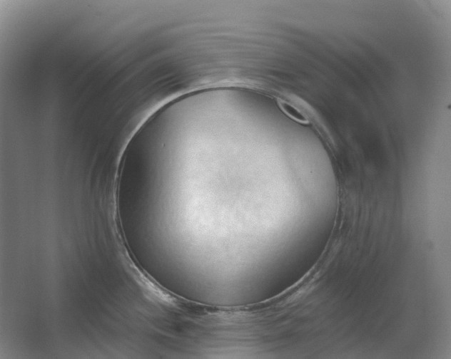 X0000062891244200601271639