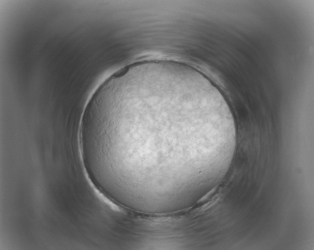 X0000062891247200601271639