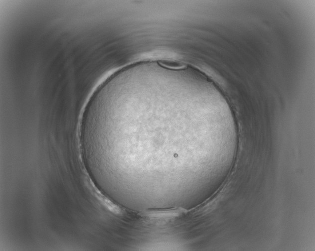 X0000062891248200601271639