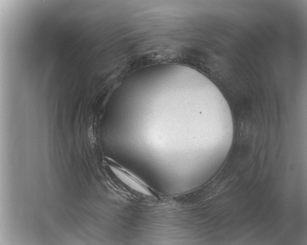 X0000062891250200601271639