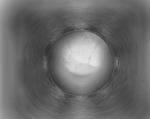 X0000062891251200601271639