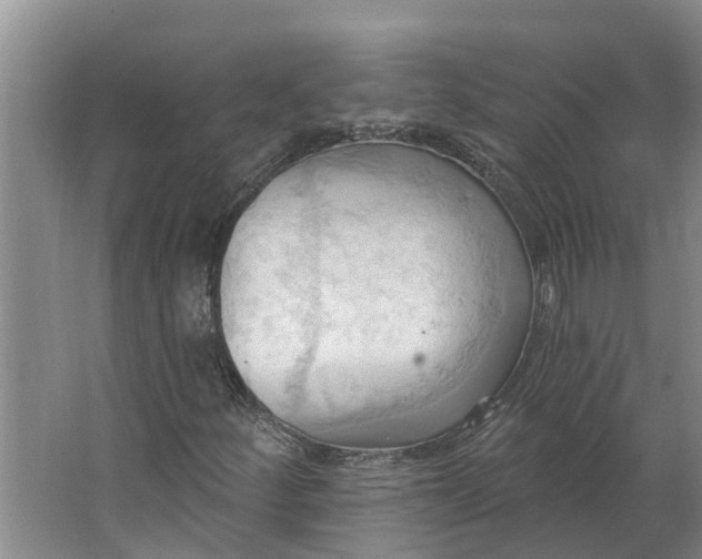 X0000062891252200601271639