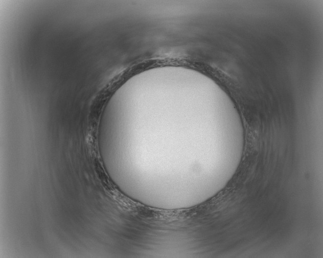 X0000062891254200601271638