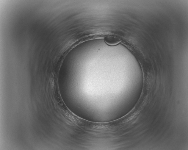 X0000062891257200601271638