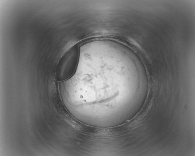 X0000062891259200601271638