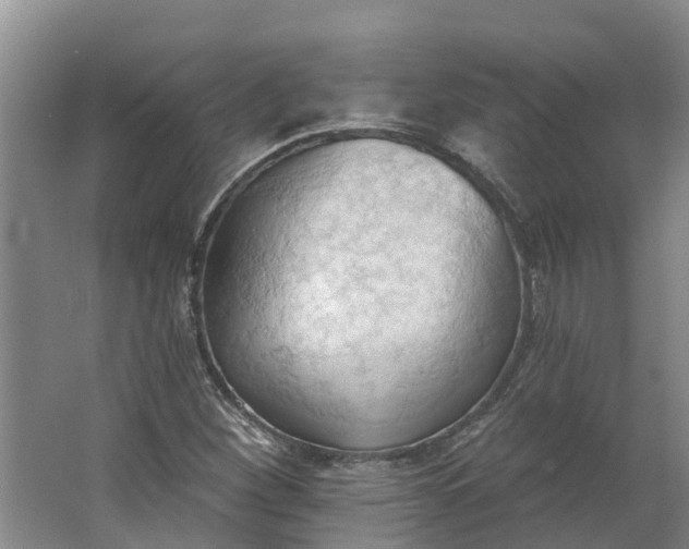 X0000062891260200601271638