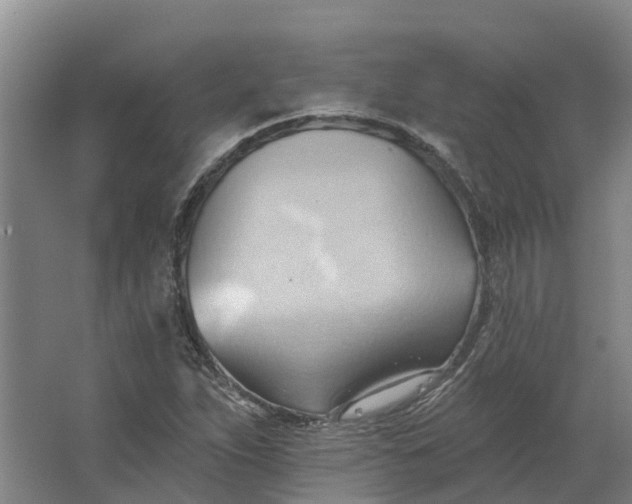 X0000062891263200601271638