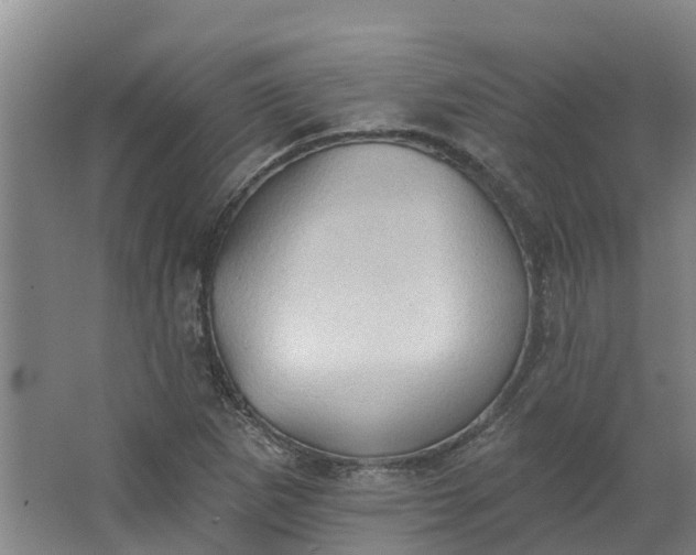 X0000062891265200601271638