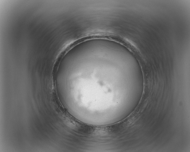 X0000062891267200601271638