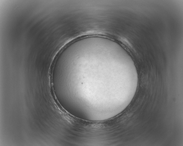 X0000062891268200601271638