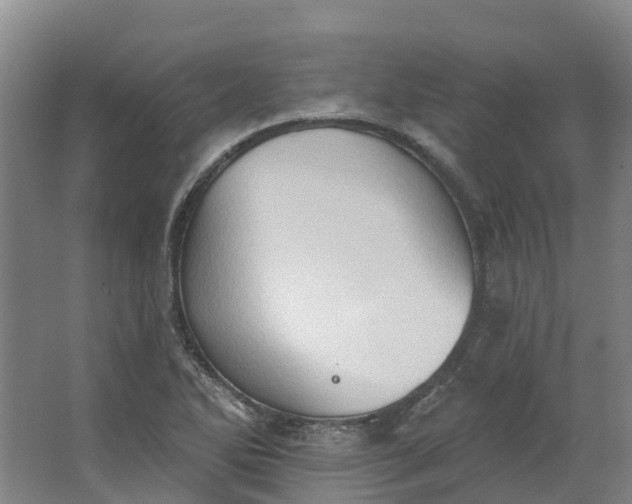 X0000062891270200601271638