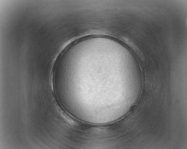 X0000062891272200601271638