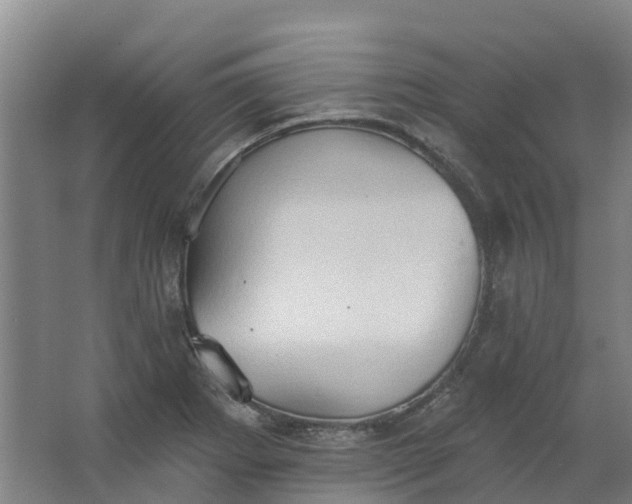 X0000062891273200601271638