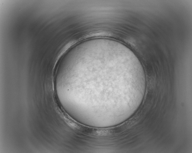 X0000062891274200601271638