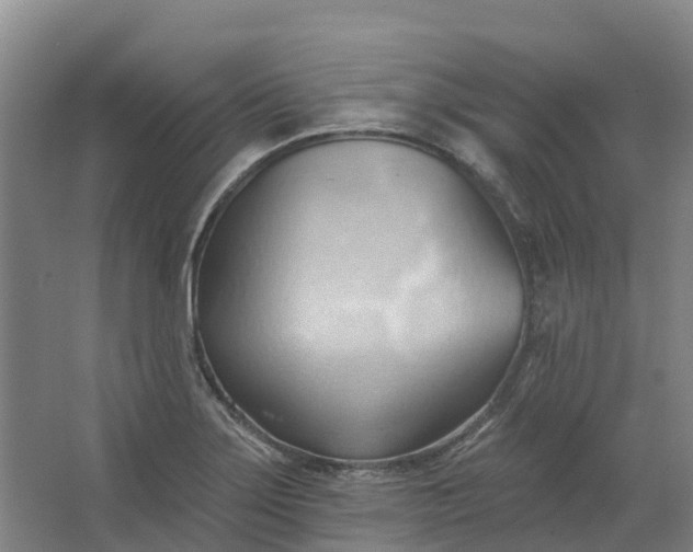 X0000062891275200601271638