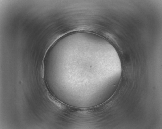 X0000062891276200601271638