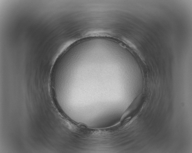 X0000062891277200601271638