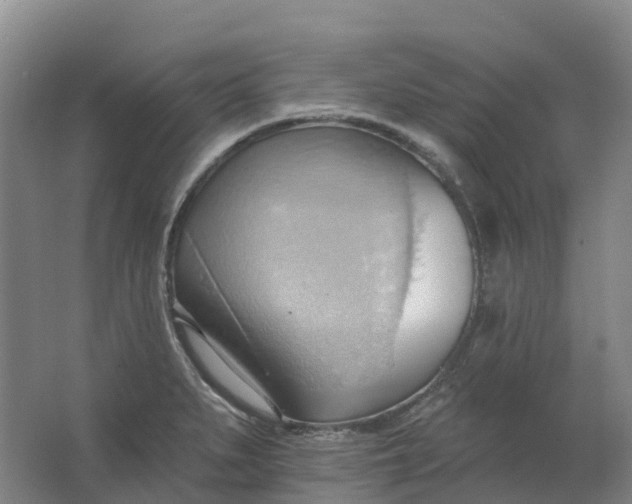 X0000062891279200601271638