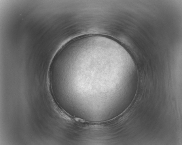 X0000062891280200601271638