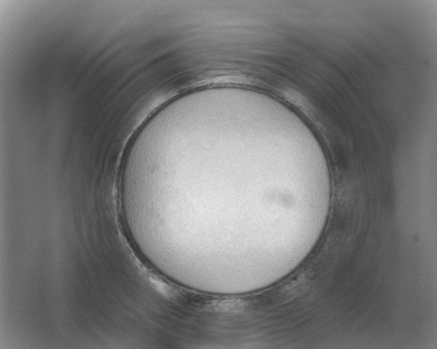 X0000062891282200601271638