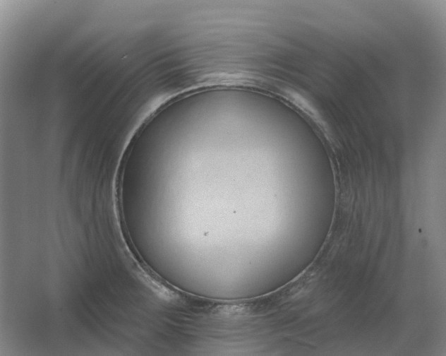 X0000062891283200601271638