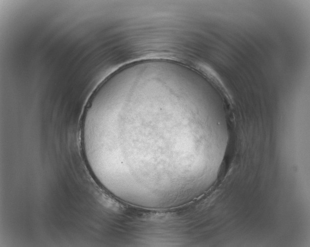 X0000062891284200601271638