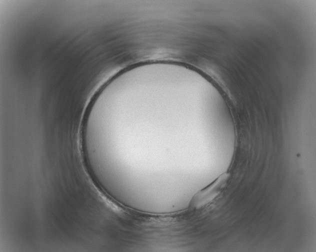 X0000062891285200601271638