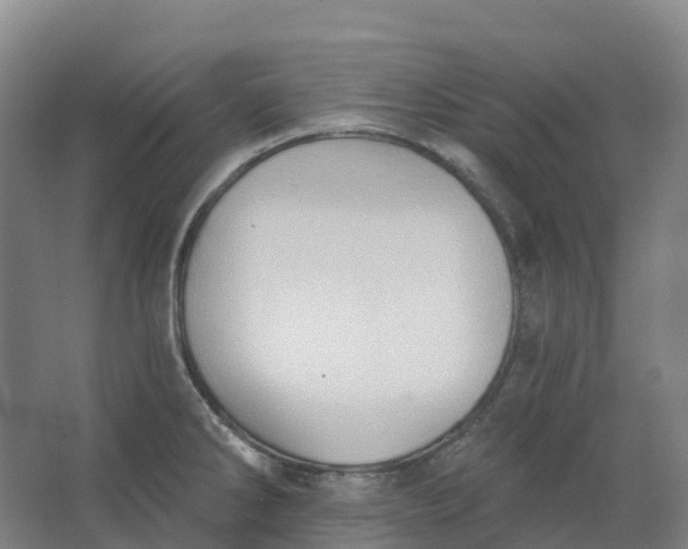 X0000062891286200601271638