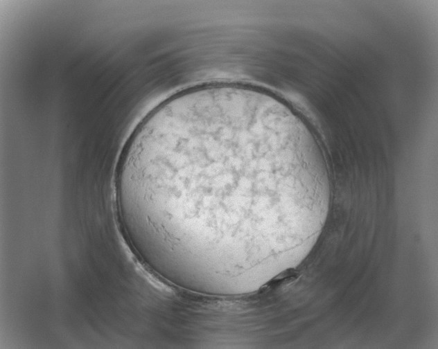 X0000062891287200601271638