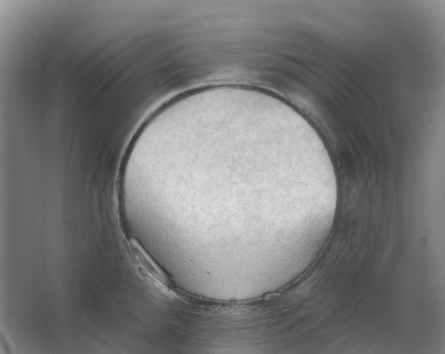 X0000062891288200601271638