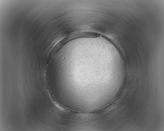 X0000062891289200601271638