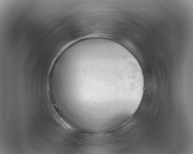 X0000062891292200601271638